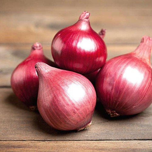 Onion