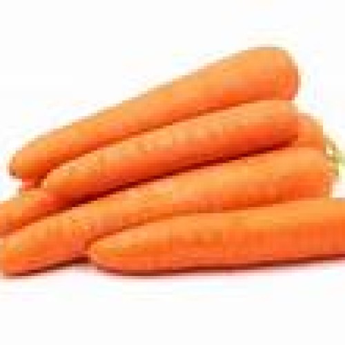 Carrot
